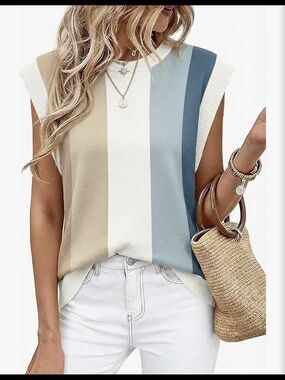 Sleeveless Colorblock Knit Sweater in Neutral & Blue Tones